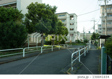 東京江東区辰巳にあり老朽化した辰巳団地 東京江東区辰巳にあり老朽化した辰巳団地 138841834