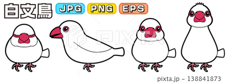白文鳥のベクターイラスト(横向き、正面、寝る、警戒・興味) 138841873