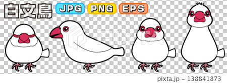 白文鳥のベクターイラスト(横向き、正面、寝る、警戒・興味) 138841873