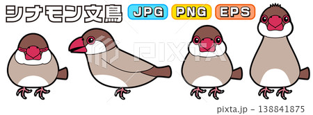 シナモン文鳥のベクターイラスト(横向き、正面、寝る、警戒・興味) 138841875