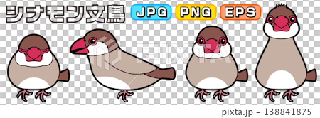 シナモン文鳥のベクターイラスト(横向き、正面、寝る、警戒・興味) 138841875