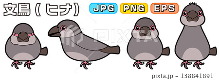 文鳥のヒナのベクターイラスト(横向き、正面、寝る、警戒・興味) 138841891