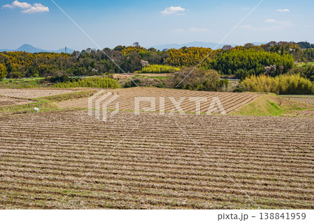 大津市仰木の棚田風景　滋賀県 138841959