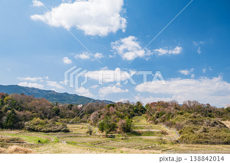 大津市仰木の棚田風景　滋賀県 138842014