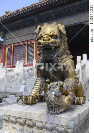 Ancient sculpture of bronze roaring lioness of 15 century in the Forbidden City in Beijing, China 138842039