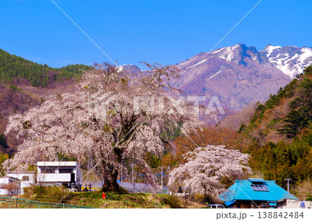 枝垂桜と残雪の武尊山 枝垂桜と残雪の武尊山 138842484