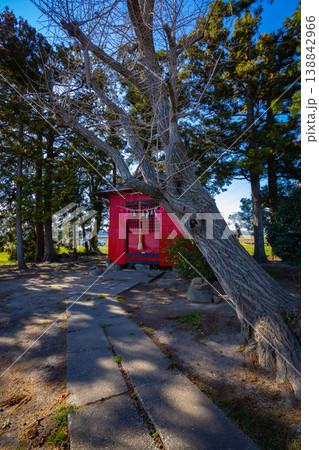 青空と光が差し込む春の南宮神社（多賀城市） 138842966