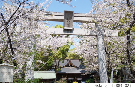 桜が咲いた若宮八幡社の一の鳥居 桜が咲いた若宮八幡社の一の鳥居 138843023