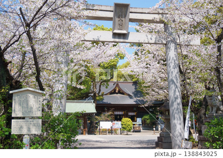 桜に囲まれた若宮八幡社 桜に囲まれた若宮八幡社 138843025