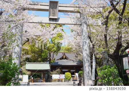 桜に囲まれた神社 若宮八幡社の鳥居 桜に囲まれた神社 若宮八幡社の鳥居 138843030