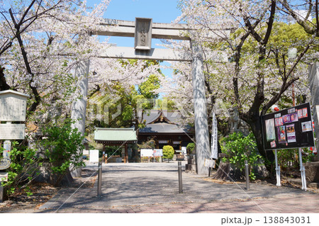 桜が咲いた若宮八幡社の一の鳥居 桜が咲いた若宮八幡社の一の鳥居 138843031