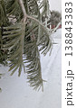Detailed view of frosted pine needles and icy surroundings 138843383