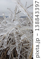 Capturing complex patterns and transparent spikes in frozen sculpture 138843397