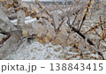 Autumn to winter transition scene with frozen plant debris and moist soil 138843415