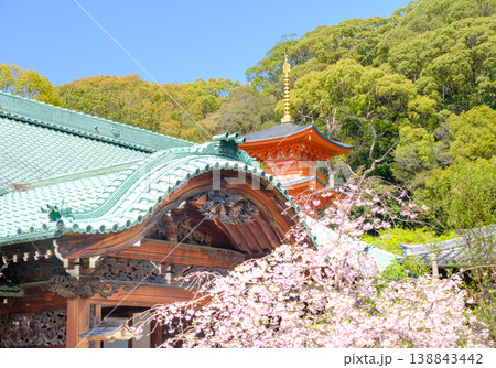 神戸・須磨寺本坊の枝垂れ桜と三重塔 神戸・須磨寺本坊の枝垂れ桜と三重塔 138843442