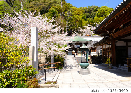 桜満開の神戸・須磨寺の参道 桜満開の神戸・須磨寺の参道 138843460