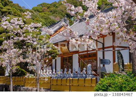 桜満開の神戸・須磨寺の参道 桜満開の神戸・須磨寺の参道 138843467