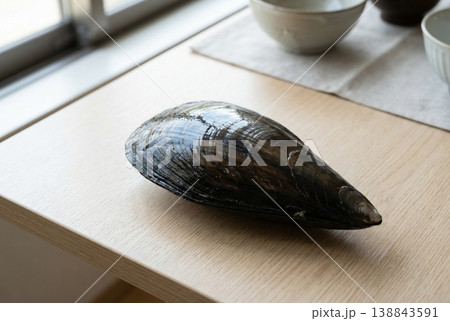 Single Wet Pen Shell on Wooden Table Near Window Light Single Wet Pen Shell on Wooden Table Near Window Light 138843591