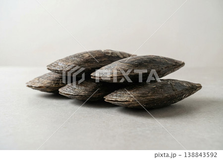 Stacked Pen Shells on Neutral Surface Minimal Composition 138843592