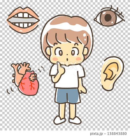 The mysteries of the human body (a slightly more realistic heart version) The mysteries of the human body (a slightly more realistic heart version) 138843880