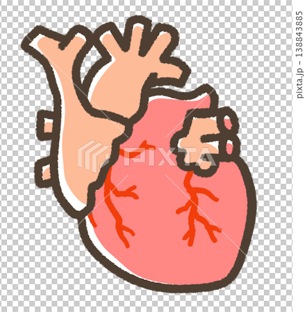 A slightly realistic illustration of a heart A slightly realistic illustration of a heart 138843885