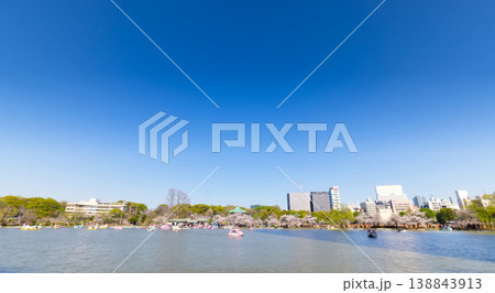 東京・上野公園の春 満開の桜 138843913