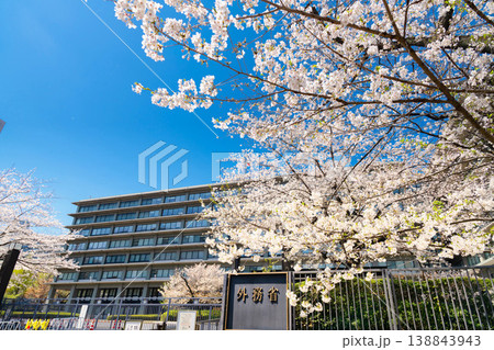 外務省 満開の桜 外務省 満開の桜 138843943