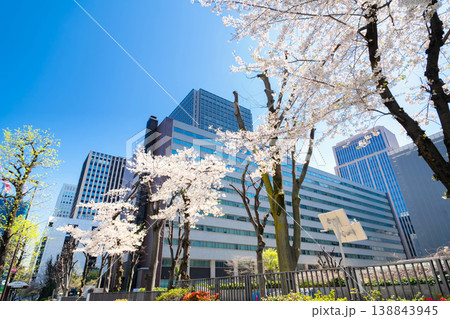 外務省 満開の桜 外務省 満開の桜 138843945