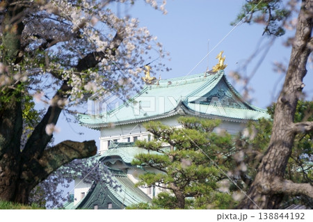 正門外から見える名古屋城天守閣 正門外から見える名古屋城天守閣 138844192