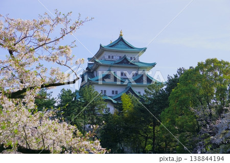 名城公園から見た春の名古屋城と桜 138844194