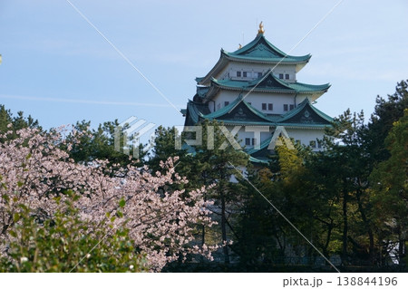 桜と春の名古屋城天守閣 桜と春の名古屋城天守閣 138844196