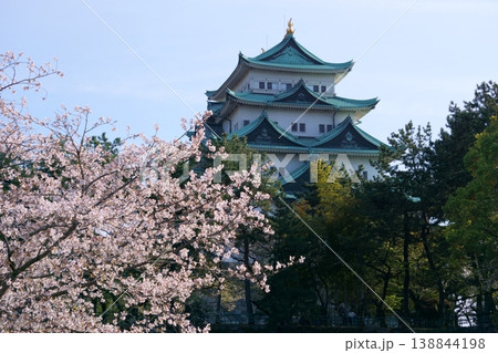桜と名古屋城の天守閣 138844198