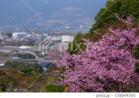 春の耳納の景色 春の耳納の景色 138844305
