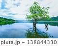 日本のウユニ塩湖-余呉湖 138844330