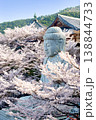 壺阪寺の桜大仏 138844733