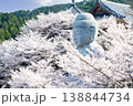 壺阪寺の桜大仏 138844734