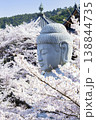 壺阪寺の桜大仏 138844735