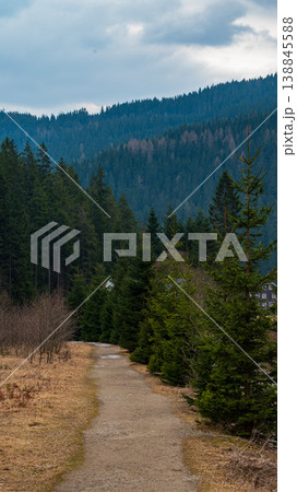 Scenic Mountain Landscape with Forest Trail, River and Rock Formations in Czech Republic 138845588
