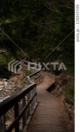 Scenic Mountain Landscape with Forest Trail, River and Rock Formations in Czech Republic 138845589