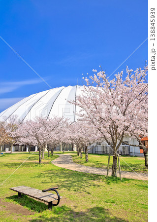 〈島根県〉春の出雲ドーム　4月 138845939