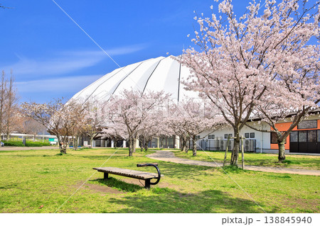 〈島根県〉春の出雲ドーム 4月 〈島根県〉春の出雲ドーム 4月 138845940