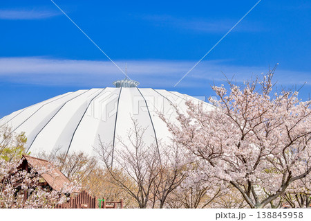 〈島根県〉春の出雲ドーム 4月 〈島根県〉春の出雲ドーム 4月 138845958