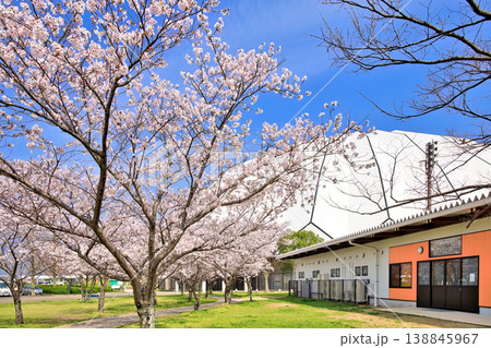 〈島根県〉春の出雲ドーム 4月 〈島根県〉春の出雲ドーム 4月 138845967