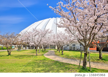 〈島根県〉春の出雲ドーム 4月 〈島根県〉春の出雲ドーム 4月 138845968