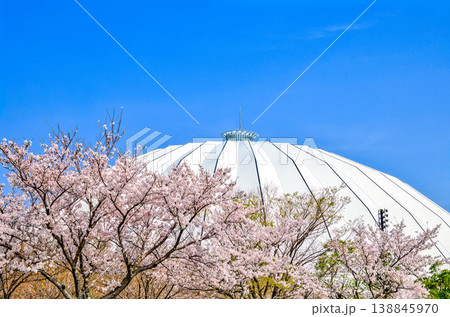〈島根県〉春の出雲ドーム 4月 〈島根県〉春の出雲ドーム 4月 138845970