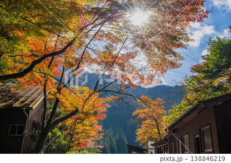 新城市の鳴沢の滝周辺の紅葉の風景(愛知県) 新城市の鳴沢の滝周辺の紅葉の風景(愛知県) 138846219
