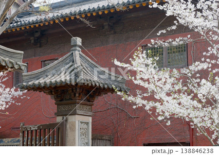 Chinese Temple Roof and Cherry Blossoms Framing Historic Red Wall in Spring Garden Chinese Temple Roof and Cherry Blossoms Framing Historic Red Wall in Spring Garden 138846238