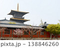 Historic Japanese Temple Pagoda With Golden Roof and Cherry Blossom Trees in Spring 138846260