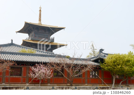 Historic Japanese Temple Pagoda With Golden Roof and Cherry Blossom Trees in Spring 138846260
