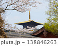 Golden Pagoda Roof Framed by Cherry Blossoms at a Traditional Japanese Temple in Spring 138846263